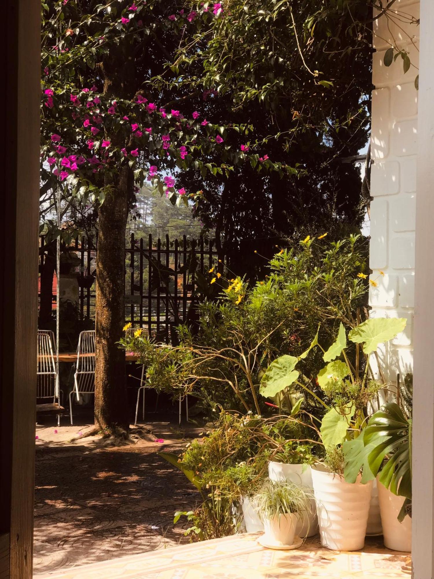 Hat De Homestay Dalat Exterior foto